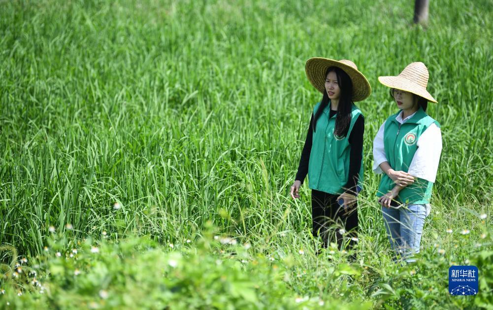 电玩水浒传手机版彩金